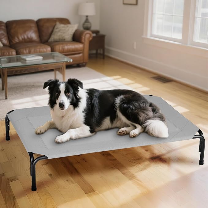 Elevated Dog Bed for Outdoor, XXXL Raised Dogs Cot with Washable Mesh, Cooling Pet Beds Chew Proof Dog Hammock, Metal Frame Lifted Platform for Training Outside Camping, 59 inch Grey