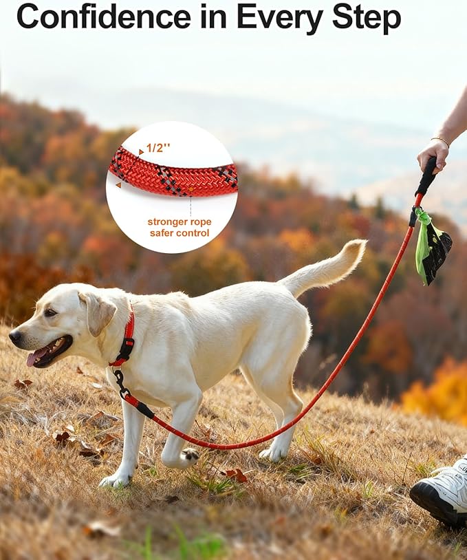 Joytale Dog Leash for Large Dogs, Heavy Duty Nylon Leashes with Comfortable Padded Handle and Highly Reflective Threads, Ideal for Walking and Training, Red, 5'횞1/2''