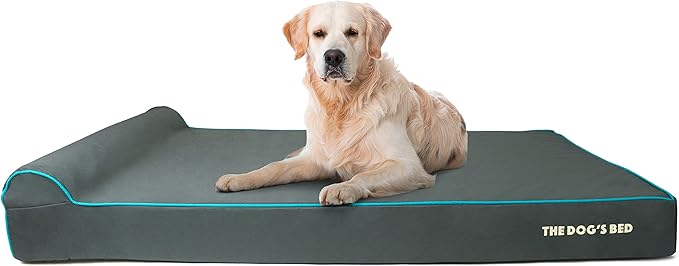 The Dog’s Bed Orthopedic Memory Foam Dog Bed with Headrest, Oxford Fabric, Grey with Blue Trim, XXL, 6-Inch