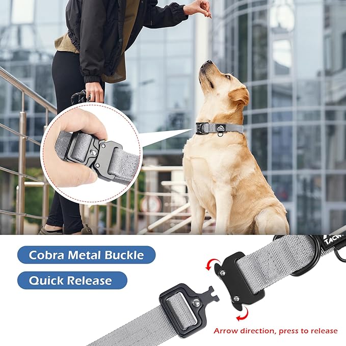 Medium Dog Collar Boy Girl- Adjustable, Chew Proof Nylon Collar with Metal Quick Release Buckle and D-Ring for Dog Tags (Alaska Daybreak, M(1''Width, Fit 11''-15''))