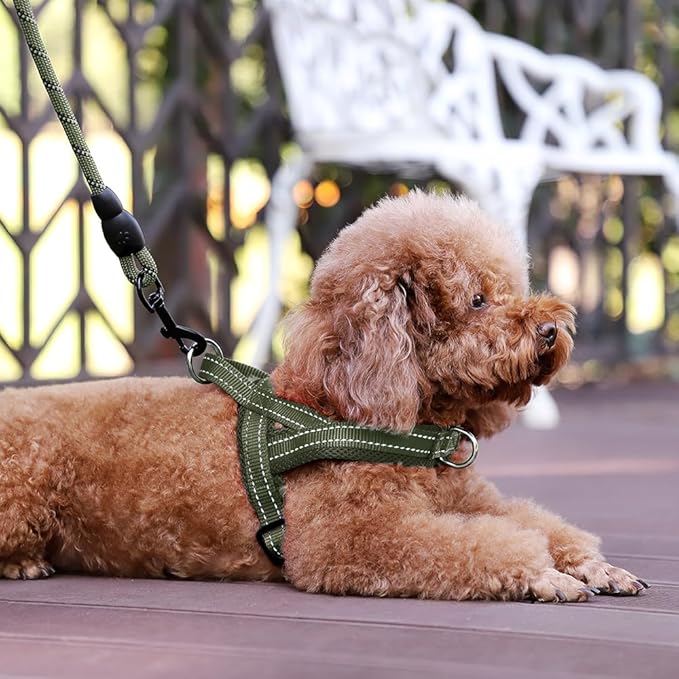 Plutus Pet No Pull Dog Harness with Breathable Mesh Padded, Adjustable Reflective Escape Proof Dog Harness, Quick Fit Dog Vest Harness for Small Medium Large Dogs(M, Ranger Green)