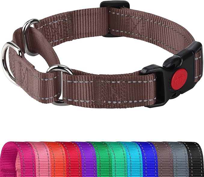 Joytale Martingale Collar for Dogs, Reflective Heavy Duty for Safety, Quick Release Buckle, Adjustable Nylon Collars for Small Dogs Walking Training, Brown,S