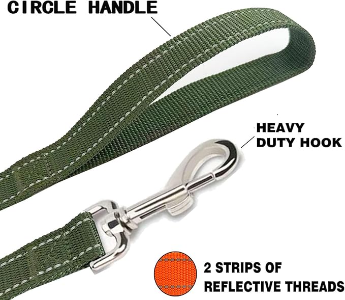 Reflective Dog Leash 4Ft /5 Foot /6 Feet Long, 1 Inch Wide, for Small and Medium Dogs