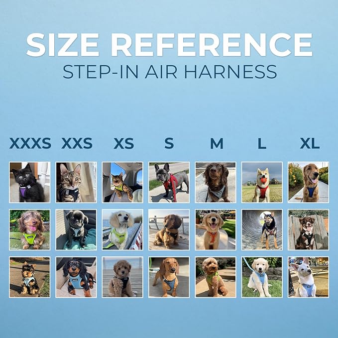 Best Pet Supplies Voyager Step-in Air Harness - All Weather Mesh, Reflective, No Pull Harness for Dogs, Cats - Secure with Hook & Loop Fastener, Buckle, Double D-Rings - Baby Blue, S