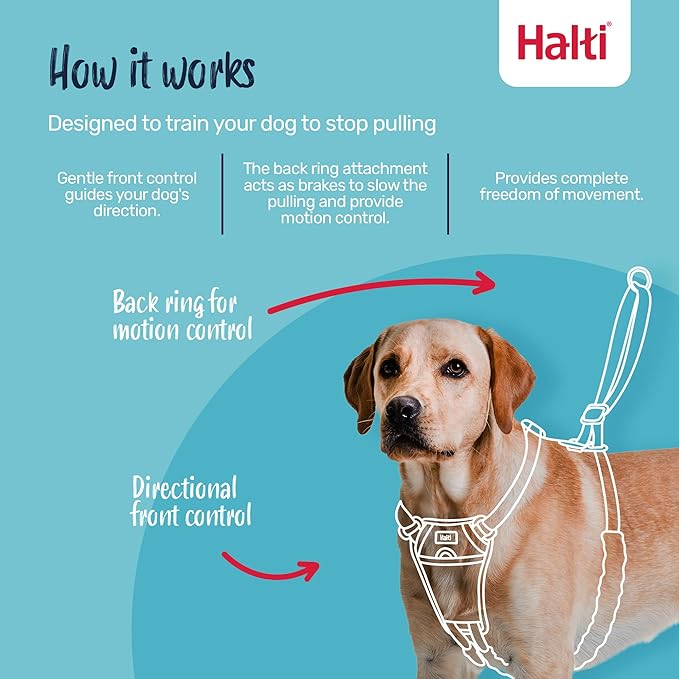 Halti No Pull Harness - Stop Your Dog Pulling on The Leash. Adjustable, Lightweight and Easy to Use. Reflective Dog Training Harness for Small Dogs (Size S, Cobalt Blue)