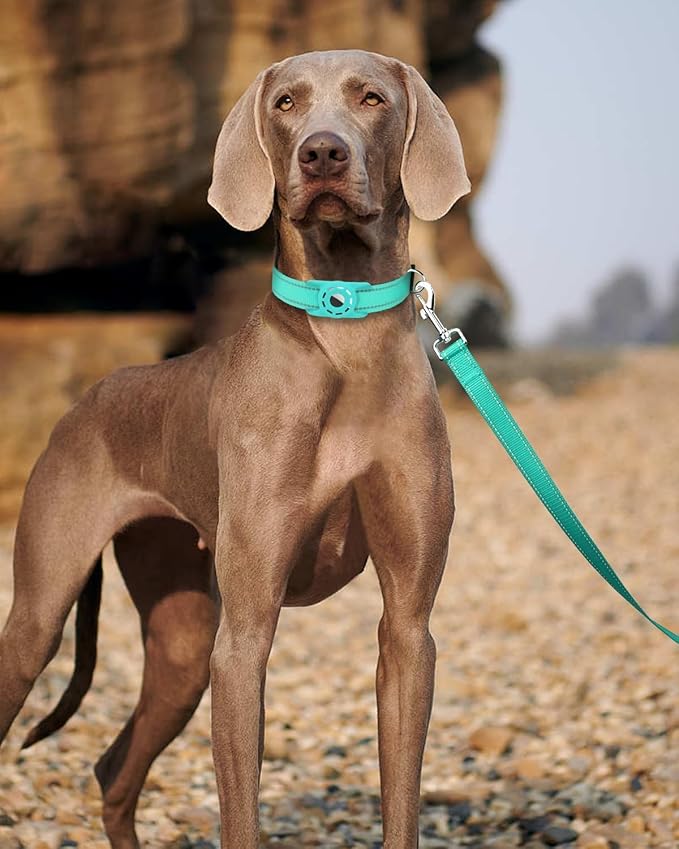 Reflective Dog Leash 6ft Soft Padded Handle Nylon Lead for Small & Medium Dogs, Durable Walking Training Leash for Night Safety (Turquoise,3/4Inch Wide)