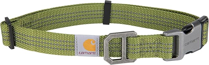 Carhartt Nylon Webbing Dog Collar, Fully Adjustable W/Durable Side Release Buckle, Light Moss, Large