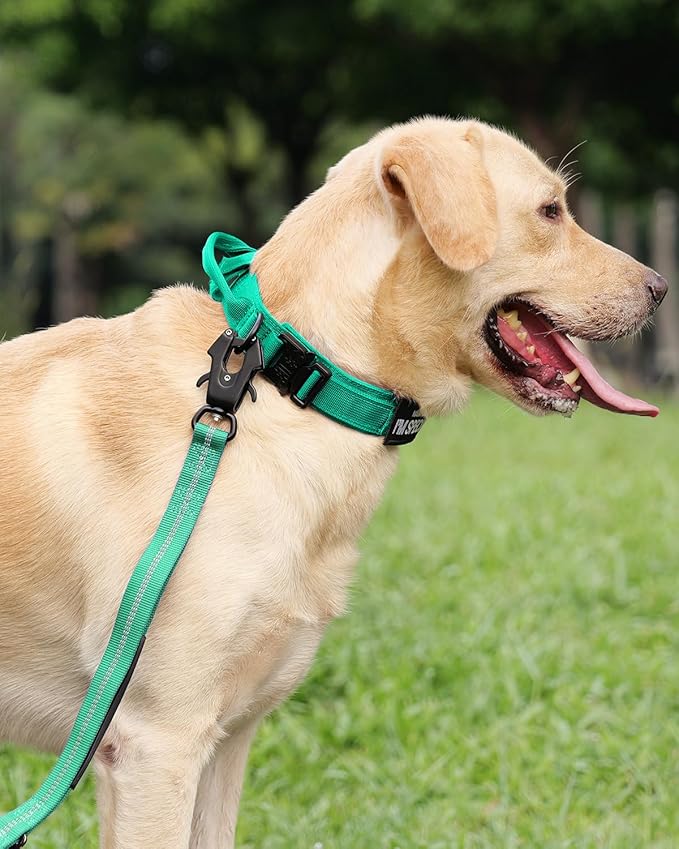 Joytale Tactical Dog Collar with Handle, Adjustable Heavy Duty Military Collar with 2 Patches for Training, Suitable for XLarge Dogs, Teal, XL
