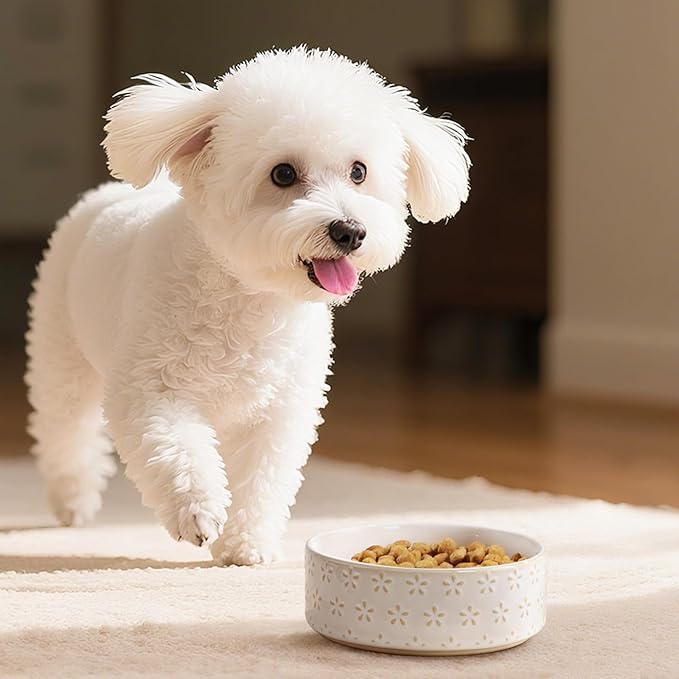 MALACASA Ceramic Dog Food Bowl, 1.5 Cups or 14oz Dog Food Water Dish for Small Breeds, Cats Pet Bowl Dishwasher & Microwave Safe, Five-Leaf Grass, Series Lydia