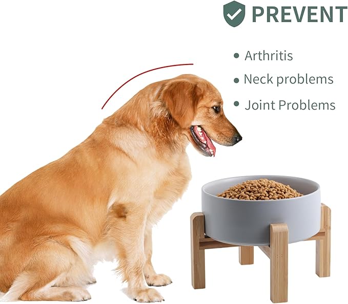 Grey Raised/Elevated Ceramic Dog Bowl for Small Medium Sized Breeds,Dog Food Water Bowl with Stand,6 in Non Slip Heavy Weighted 3.6 Cups