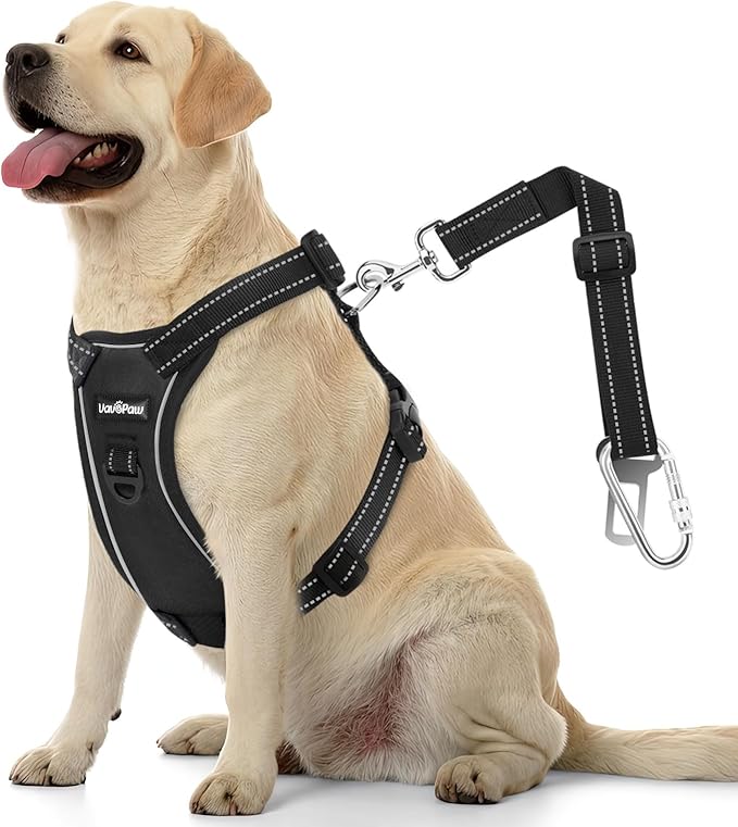 Dog Seat Belt Harness for Car, Dog Car Harness Adjustable Mesh Breathable & Dogs Seatbelt Safety Tether with Elastic Bungee for Small Medium Large Pets(Carbon Black, L)