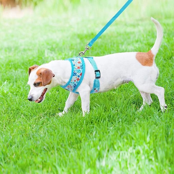 PUPTECK Soft Mesh Dog Harness and Leash Set Pet Puppy Cat Comfort Padded Vest No Pull Harnesses, Blue Floral, S
