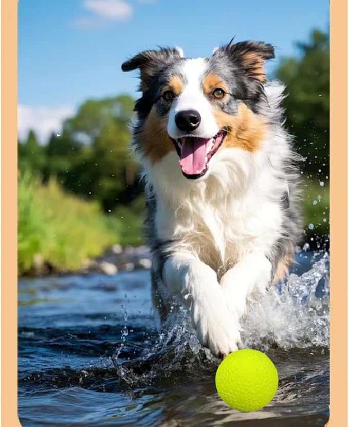 Indestructible Dog Chew Toy for Aggressive Chewers - 4 Pack Interactive Dog Ball，Durable ETPU Toy for Large Medium Small Dogs