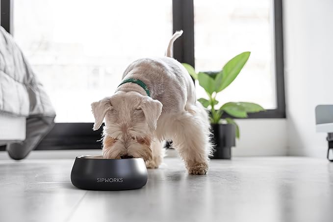 Sipworks Stainless Steel Dog Bowl – 32oz Weighted Metal Food and Water Bowls for Dogs and Cats with Non-Slip Base - Pet Bowls for All Breeds Sizes for Travel & Outdoor Play | Oyster