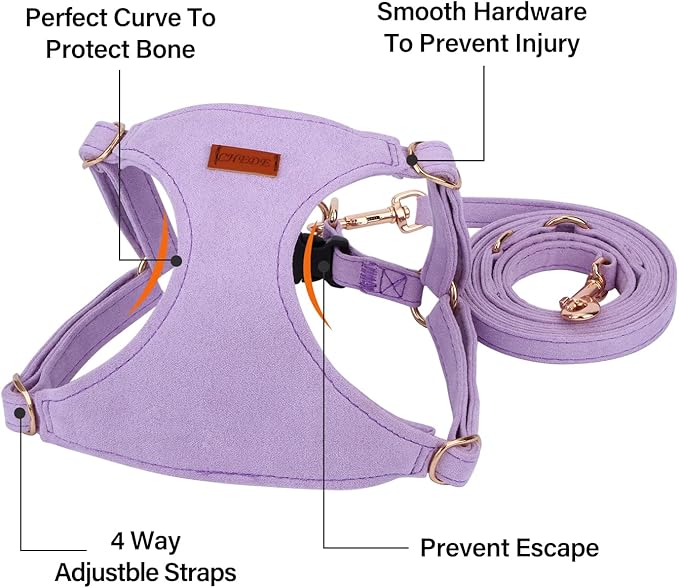 CHEDE No Pull Puppy Harness and Multifunction Dog Leash Set- 8 Colors Soft Adjustable No Choke Escape Proof Cute,Lightweight Pet Vest Harness for Small and Medium Dog (S, Purple)