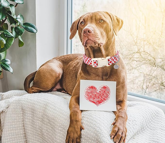 DOGWONG Valentine's Dog Collar - Red Heart Adjustable Cotton Heart Dog Collar - Perfect for Small Dogs