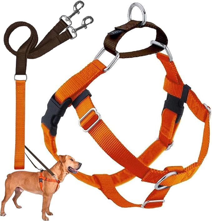 2 Hounds Design Freedom No Pull Dog Harness, Adjustable Harness and Leash Set, Easy Walking & Comfortable Control, Fits Small, Medium & Large Dogs, Solid Colors, Made in USA, 1" MD, Rust