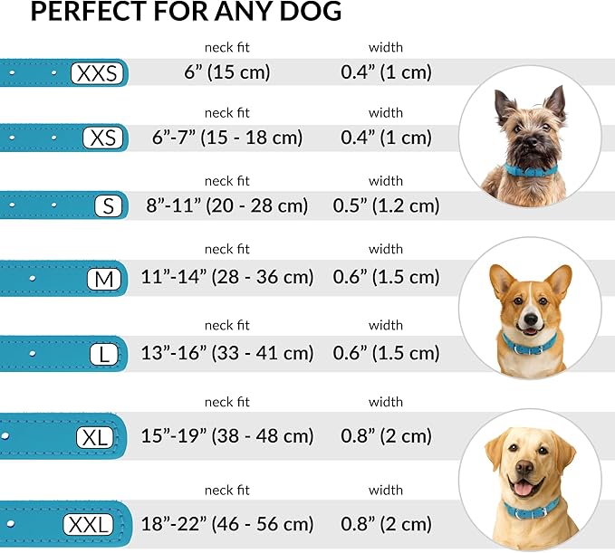 CollarDirect Rolled Leather Dog Collar, Soft Padded Round Puppy Collar, Handmade Genuine Leather Collar Dog Small Large Cat Collars 13 Colors (8-11 Inch, Light Blue)
