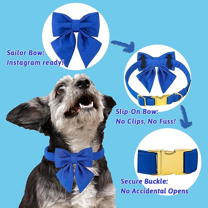 Maca Bates Klein Blue Dog Collar with Cute Solid Sailor Bow Tie for Medium Girl Boy Dogs,Adjustbale Durable Breakaway Soft Collars with Bowtie for Female Male Puppy,Pet with Metal Buckle