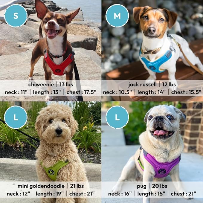 Gooby Escape Free Memory Foam Harness - Red, Small - No Pull Step-in Dog Harness with Four Point Adjustment for Small to Medium Dogs