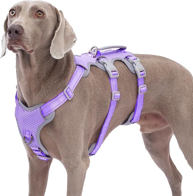 Huntboo Escape Proof Dog Harness, No Pull Reflective Harness with Lift Handle,Adjustable Pet Vest with Front and Back Leash Clips for Small Medium Large Dogs Walking Hiking Training(Lavender Purple,L)