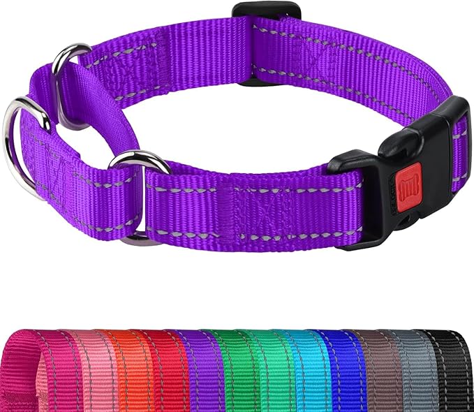 Joytale Martingale Collar for Dogs, Reflective Heavy Duty for Safety, Quick Release Buckle, Adjustable Nylon Collars for Medium Dogs Walking Training, Purple,M