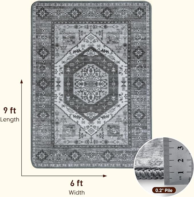 LBRO2M Boho Area Rug 6X9 Washable Rugs for Bedroom Low Piles Indoor Carpet, Non Slip Soft Rug for Living Room, Dining Room, Dark Gray Rug Foldable Pet Friendly Area Rugs (6'X9' Dark Gray)