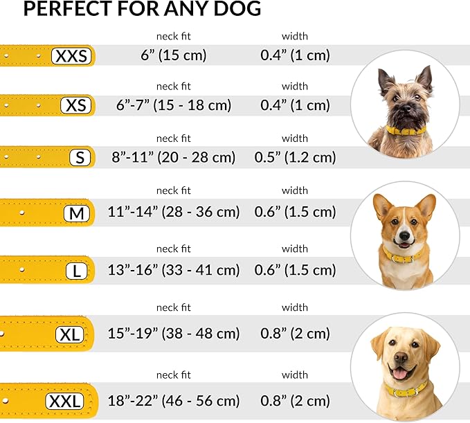 CollarDirect Rolled Leather Dog Collar, Soft Padded Round Puppy Collar, Handmade Genuine Leather Collar Dog Small Large Cat Collars 13 Colors (8-11 Inch, Yellow Smooth)