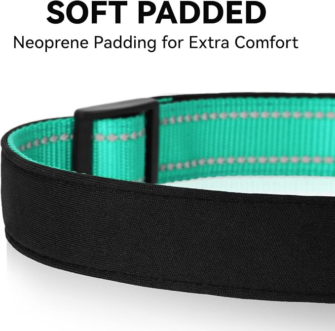 Reflective Dog Collar for Large Dogs, Wide Nylon Adjustable Collar with Soft Padding, Durable Buckle for Pitbull Labrador Retriever,Teal,L