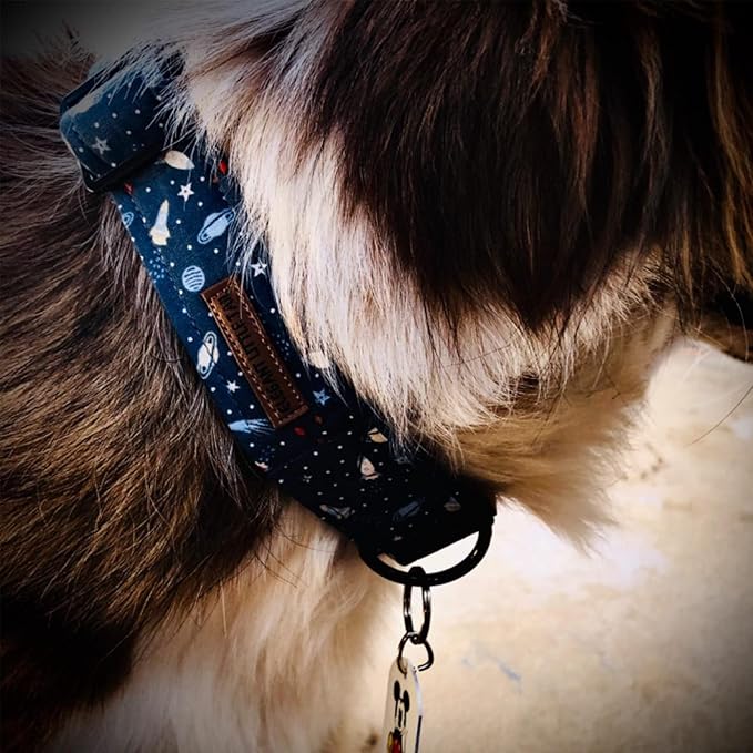 Elegant little tail Dog Collar, Blue Universe Pattern Pet Collar Durable Cute Dog Collars Male Pet Gift Adjustable Dog Collar for X-Small Dogs