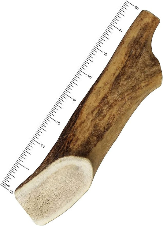 Mighty Paw Split Elk Antlers for Dogs (Sourced in The USA) | 2 Whole Monster 8"+ Long Lasting Bones for Aggressive Chewers - Naturally Shed Split Deer Antler for Dogs - Low Odor Chews (Pack of 2)