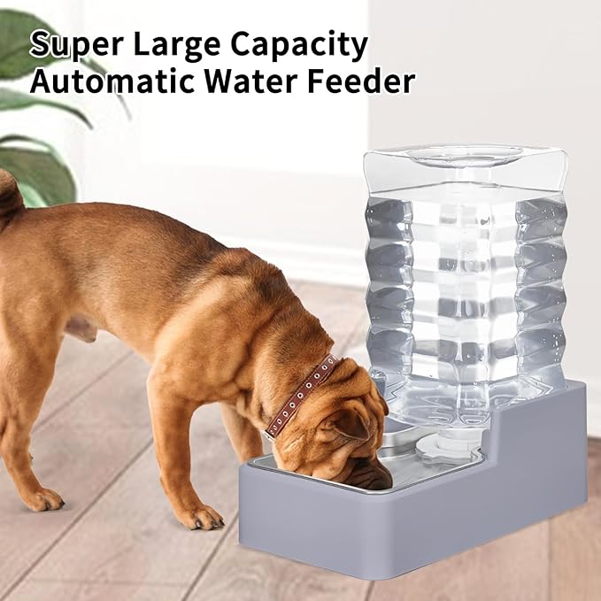 Sfozstra Dog Water Bowl Dispenser: 8L Lagre Automatic Gravity Light Gray Upgraded Pet Water Dispenser - Stainless Steel Bowl - BPA-Free - Two Caps and Filters for Multiple Pets