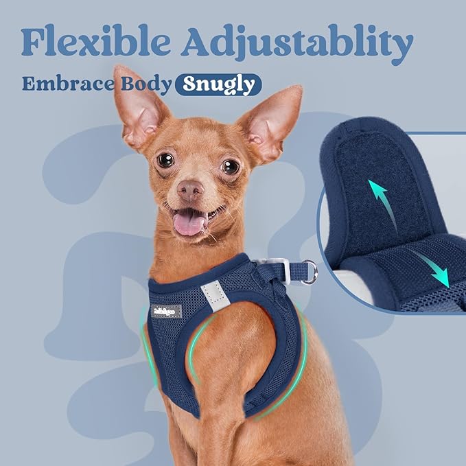 rabbitgoo Small Dog Harness, Step-in Soft Mesh Puppy Vest with Safety Buckle, Breathable Reflective Pet Harness for Small Medium Dogs, Navy Blue XL