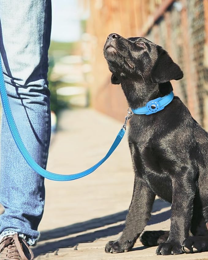 Reflective Dog Leash 4ft Soft Padded Handle Nylon Lead for Small & Medium Dogs, Durable Walking Training Leash for Night Safety (SkyBlue,1Inch Wide)