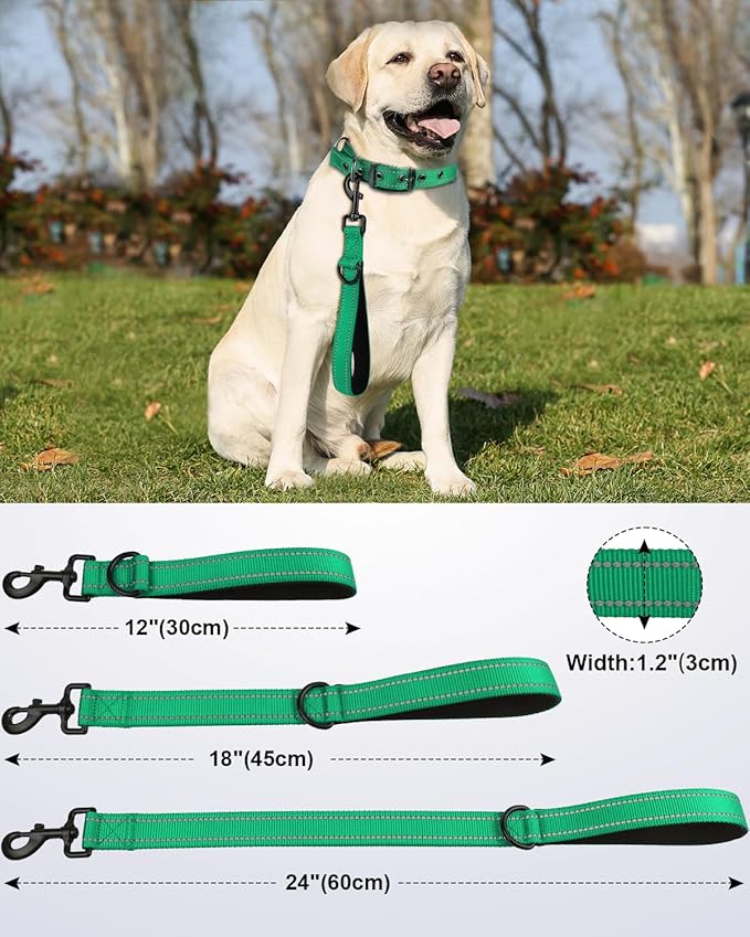 Joytale Strong Short Dog Leash 2FT, 1.2 Inch Wide, Heavy Duty, Padded Handle for Traffic Control, Reflective Leash for Medium and Large Dogs Walking Training, Teal