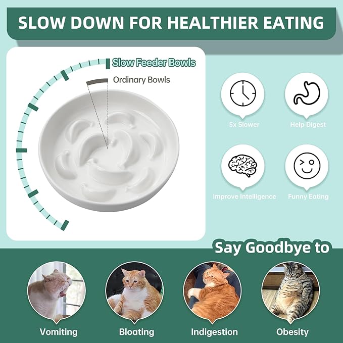 Ceramic Cat Slow Feeder Bowl - Pastel Series Cat Plate for Dry and Wet Food - Cute Maze Feeder Dish for Healthy Eating - Dishwasher Safe - 6.3''W x 1.2''H - 7 OZ - Ivory White