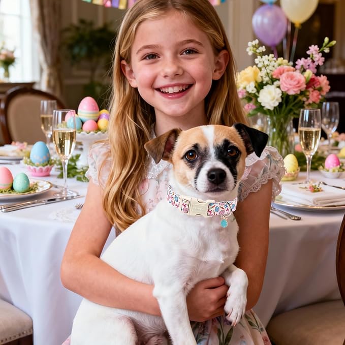 DOGWONG Easter Dog Collar-Cute Pink Easter Egg Dog Collar, Easter Cattot Collars Puppy Collar Gifts with Quick Release Buckle for Girl&Female Dogs,XL