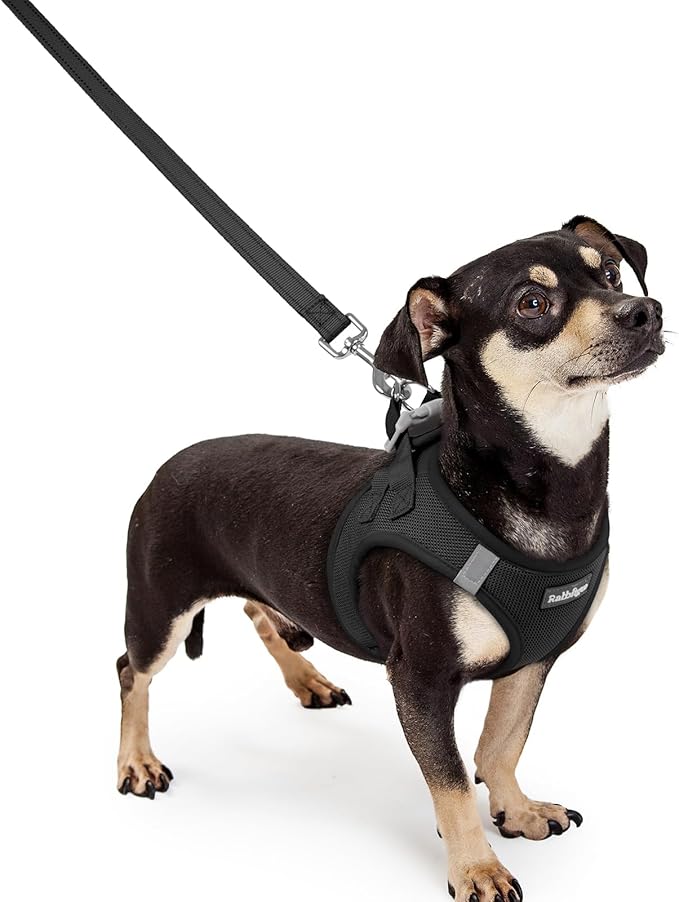 rabbitgoo Dog Harness Small Sized and Leash Set, Step in Soft Light Puppy Vest, Breathable Mesh Pet Harness, Reflective for Outdoor Safe Walking, Black XXXS