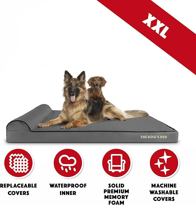 The Dog’s Bed Orthopedic Memory Foam Dog Bed with Headrest, Oxford Fabric, Grey with Black Trim, XXL, 4-Inch
