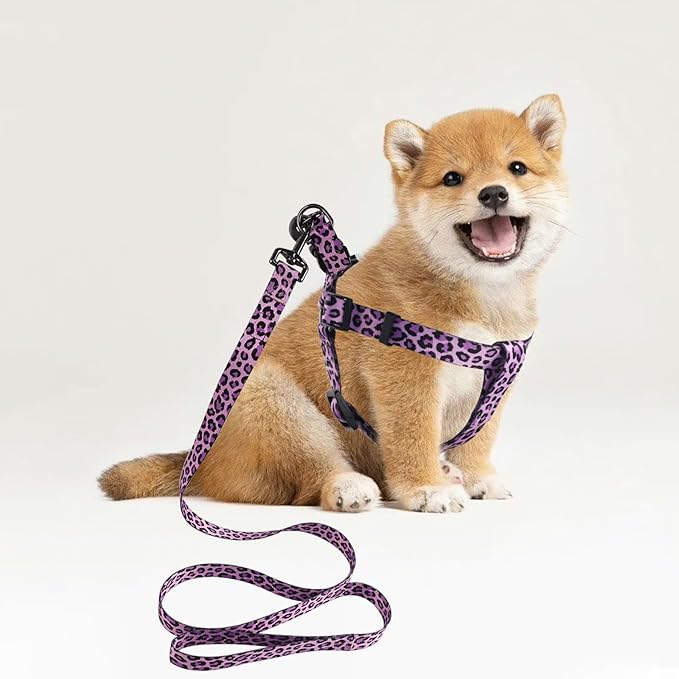 QQPETS Dog Harness Leash Set Adjustable Heavy Duty No Pull Halter Harnesses for Small Medium Large Breed Dogs Back Clip Anti-Twist Perfect for Walking