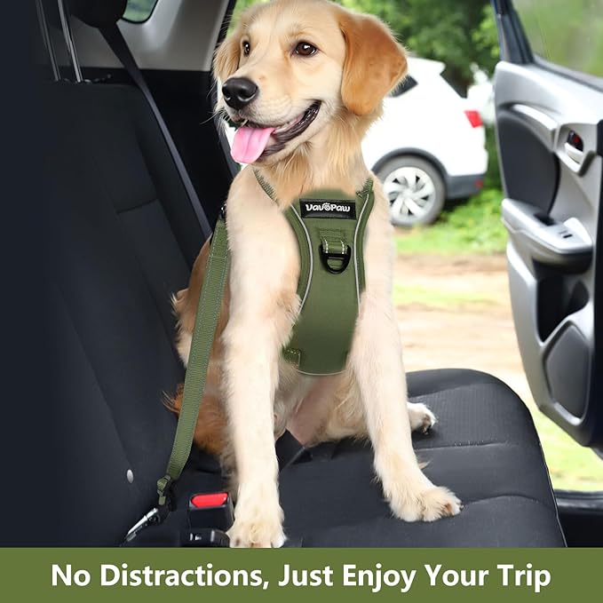 Dog Seat Belt Harness for Car, Dog Car Harness Adjustable Mesh Breathable & Dogs Seatbelt Safety Tether with Elastic Bungee for Small Medium Large Pets(Army Green, L)