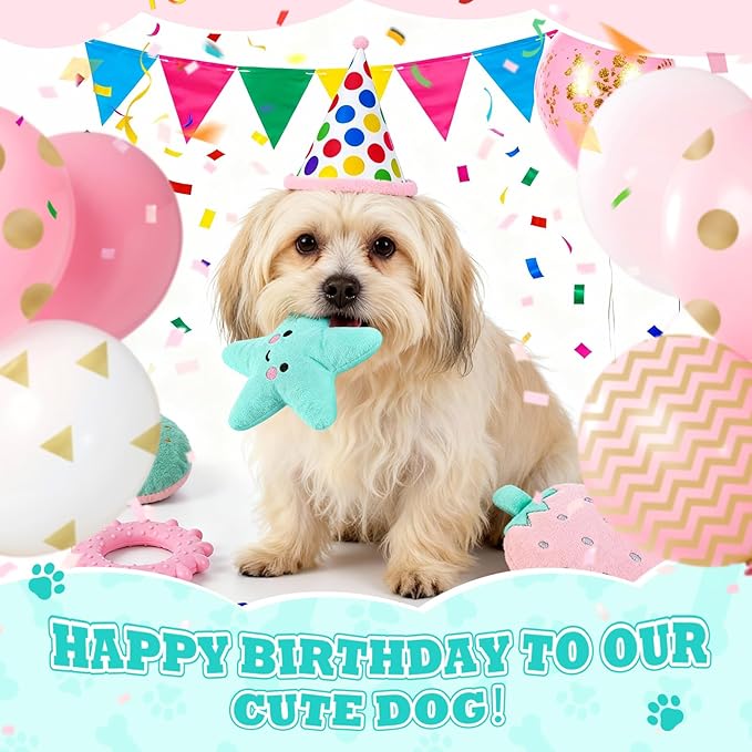 11 Pcs Dog Birthday Toy Gift for Dog Birthday Cake Puppy Girl Boy Squeak Toys Interactive Puppy Gift with Box for Small Medium Size(Stylish,Mixed Color)