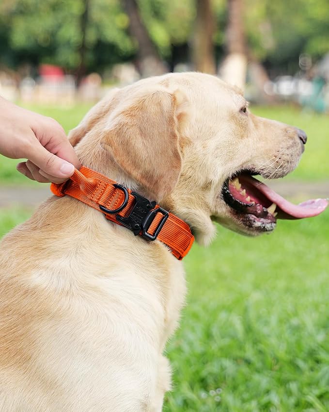 Joytale Tactical Dog Collar with Handle, Adjustable Heavy Duty Military Collar with 2 Patches for Training, Suitable for Large Dogs, Orange, L