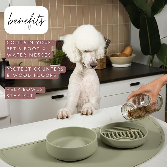 Should We Go? - Waterproof Silicone Pet Food Mat - Non-Slip, Spill-Proof Feeding Mats for Floors, Raised Edge Design, Easy-to-Clean, Rubber Mat for Dog & Cat Bowls, 28" Across x 14" Deep, Large-Spruce