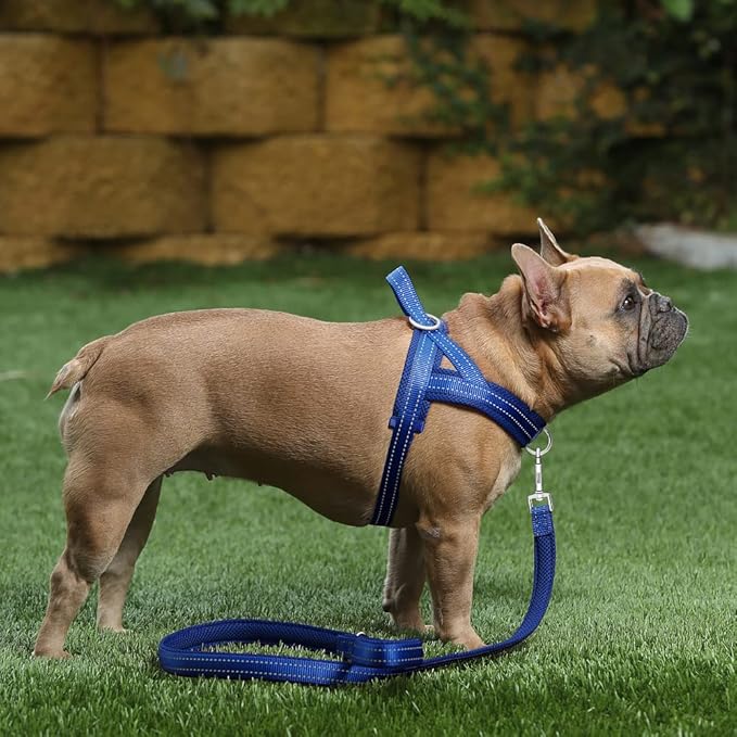 Plutus Pet No Pull Dog Harness with Breathable Mesh Padded, Adjustable Reflective Escape Proof Dog Harness, Quick Fit Dog Vest Harness for Small Medium Large Dogs(M, Navy Blue)
