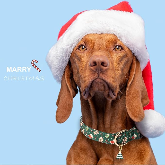 Faygarsle Green Dog Collar Christmas Design Gingerbread Man Pattern for Small Medium Large Dogs Collar Cute Stylish Girl Boy Christmas Dog Collar L