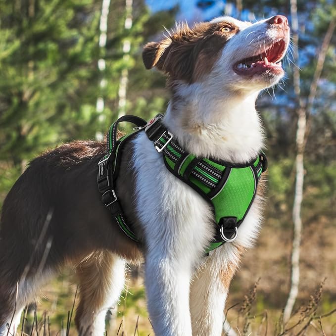 rabbitgoo Dog Harness Medium Sized, No Pull Dog Vest with 3 Buckles, Adjustable Soft Padded Pet Harness with Easy Control Handle and Reflective Strips, Green, M