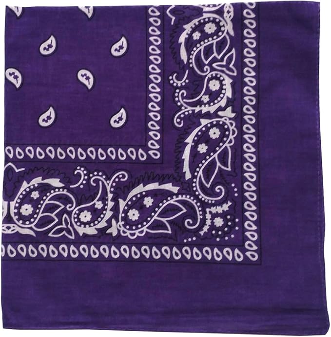 combocube 12 Pack(one Dozen) Multi-Purpose Cotton Paisley Cowboy Bandanas Headband for Men and Women