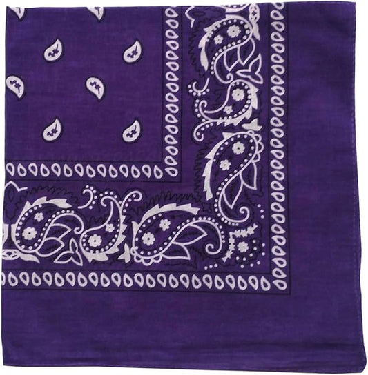 combocube 12 Pack(one Dozen) Multi-Purpose Cotton Paisley Cowboy Bandanas Headband for Men and Women