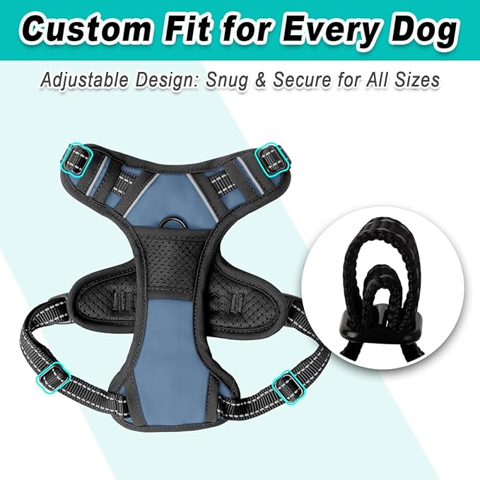 BARKBAY Dog Harness No Pull for Small Dogs - Adjustable, Reflective, Comfortable, No Choke, Heavy-Duty - Perfect for Outdoor Training, Walking, and Hiking - Strong & Durable - XS & Navy